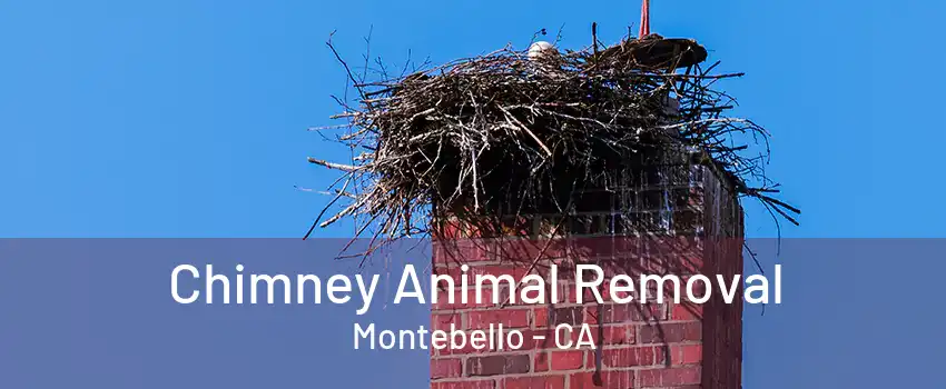 Chimney Animal Removal Montebello - CA