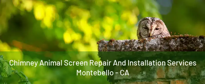 Chimney Animal Screen Repair And Installation Services Montebello - CA